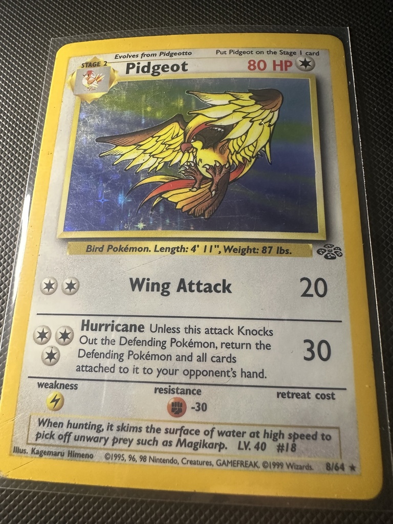 Pidgeot Unlimited Holofoil LP Jungle English 8 |f80b63a0-6d99-4b97-87a5-d33464c36d6e