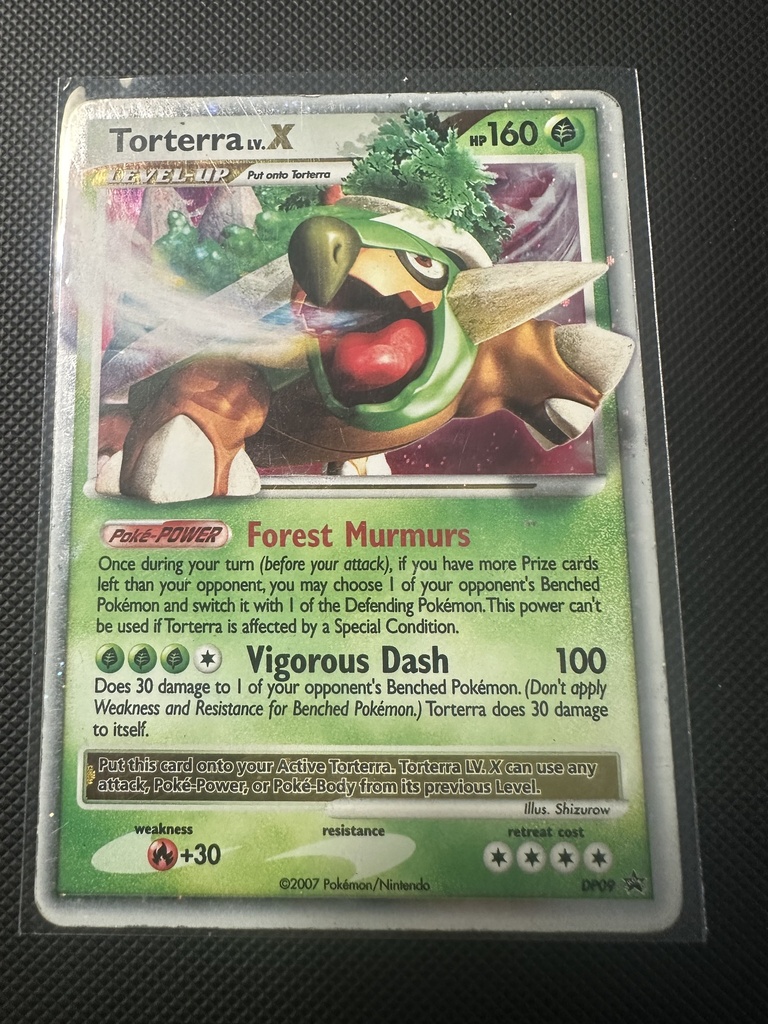 Torterra lv X Holofoil MP Diamond & Pearl Promos English 9 |42a4437c-8686-48a6-a705-96cebddefc3e